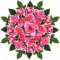 MLflorist- Интернет-Магазин цветов