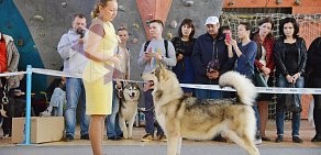 Центр дрессировки собак Dog Show Club на Дуванском бульваре