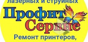 Сервисный центр Профит-Сервис на улице Владимира Невского