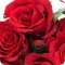 Сеть цветочных бутиков Romantic на улице Репина