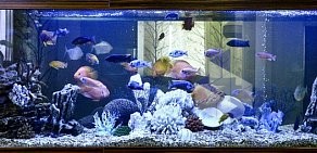 Салон аквариумистики Fishman на метро Геологическая
