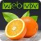 Веб-студия WEB-VDV
