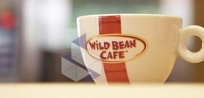 Мини-кофейня Wild Bean Cafe на метро Митино
