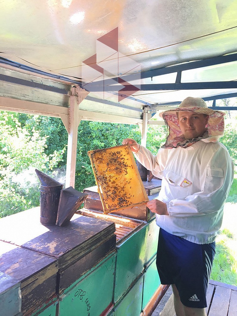 Купить мед в ростове