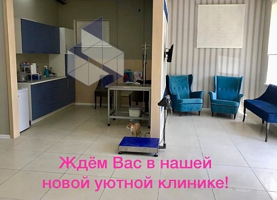 Миравет батайск. Ветеринарная клиника Батайск. Ветеринарный центр номер 1 Батайск. Батайск клиника Ирбис.