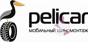 Выездной шиномонтаж Pelicar на Каменноостровском проспекте