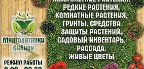 Садовый магазин Многолетники Сибири