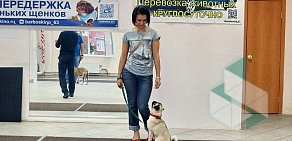 Дог-центр Тольятти на бульваре Ленина