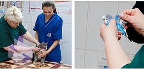 Ветеринарная клиника Центр здоровья животных в проезде Дежнева, 2Б