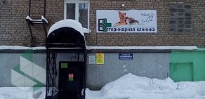 Ветеринарная клиника Кисмис в Коломне