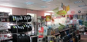 Магазин автозапчастей и автотоваров АСТА на улице Маршала Говорова
