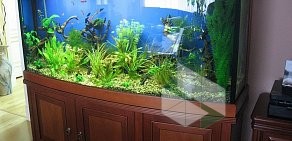 Компания по обслуживанию аквариумов AQUA-CARE