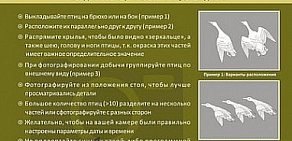 Администрация Владимирской области Государственная инспекция по охране и использованию животного мира