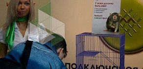 Информационный городской портал Kirovnet