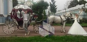 Конный праздник на Ташкентской улице