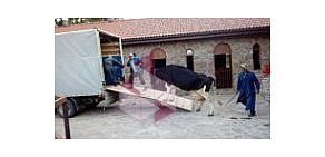 Служба по перевозке сельхоз животных