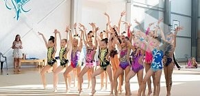 Школа художественной гимнастики Pirouette на Чертановской улице, 34 к 1