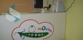 Детский развивающий центр Точка роста в поселке Чкаловск