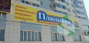 Книжный эконом-магазин Плюшкин 14 на улице Лермонтова