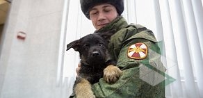 Управление вневедомственной охраны ВНГ РФ по Самарской области
