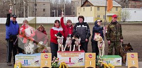 Федерация спортивно-прикладного собаководства Пермского края