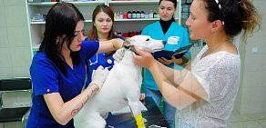 Ветеринарная клиника Леопольд на метро Южная 