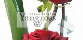 Салон цветов Yangross