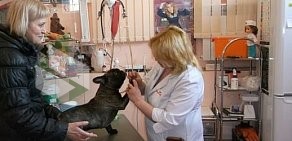 Груминг-центр Ветеринарная клиника доктора Синкевич