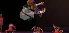 Студия гимнастики и танца Анны Серовой на проспекте Испытателей, 12