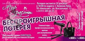 Магазин профессиональной косметики для волос Мир красоты на Октябрьском проспекте