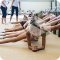 Школа художественной гимнастики Pirouette на Чистопрудном бульваре, 14 стр 4