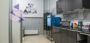 Ветеринарная клиника С-Вет на Троицкой улице в Мытищах 