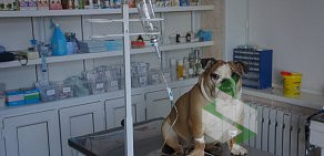 Ветеринарная клиника Камчатская краевая станция по борьбе с болезнями животных