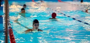 Фитнес-клуб Delphine swim в Королеве