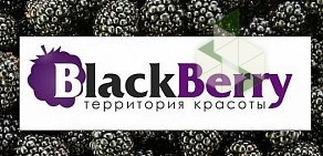 Салон красоты BlackBerry в ТЦ Звенигородский