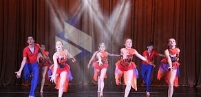 Спортивно-танцевальный клуб Пантера в Кузьминках