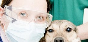 Ветеринарная клиника Бемби в Северном Чертаново