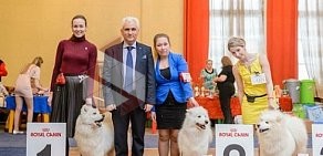 Продюсерский зооцентр my Champion на улице Худякова
