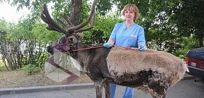 Челябинская городская ветеринарная станция по борьбе с болезнями животных в Калининском районе