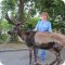 Челябинская городская ветеринарная станция по борьбе с болезнями животных в Калининском районе