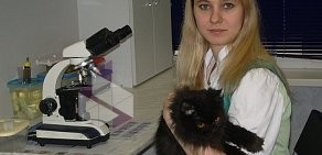 Ветеринарная клиника Лаки в Калининском районе