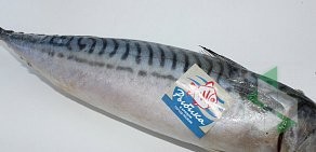 Магазин вкусных морепродуктов Рыба51