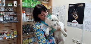 Ветеринарная клиника Лона-вет на улице Марата