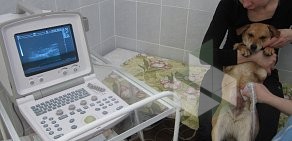 Ветеринарная лечебно-диагностическая клиника на проспекте Строителей в Амурске