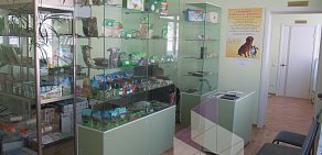 Ветеринарная лечебно-диагностическая клиника на проспекте Строителей в Амурске