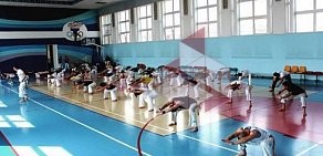 Школа боевых искусств Ficag