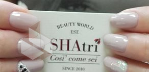 Студия красоты SHAtri на метро Академическая