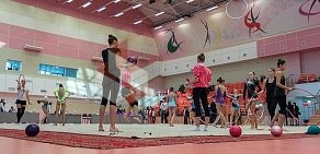 Омская областная региональная общественная организация Федерация художественной гимнастики