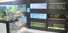 Магазин Короли аквариума на улице Жмайлова