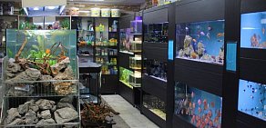 Магазин Короли аквариума на улице Жмайлова